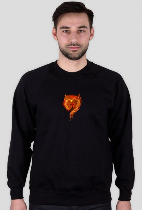 bluza d.rekaw ogieñ