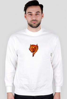 bluza d.rekaw ogieñ