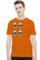 Czaszki