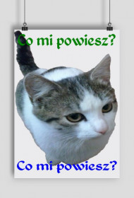 Plakat Co mi powiesz? Pionowy lub poziomy