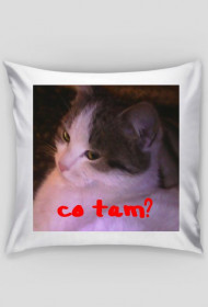 Poduszka CO TAM?