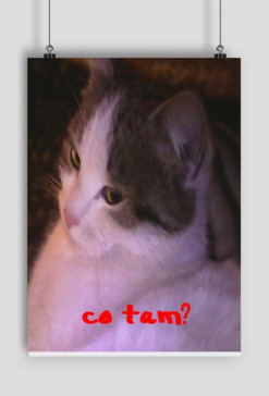 Plakat CO TAM?