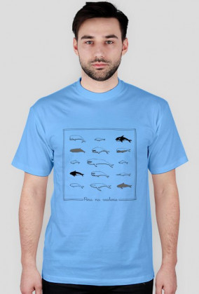 Whales