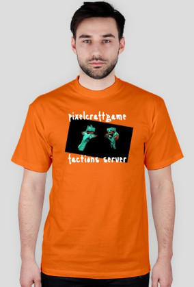 Factions T-shirt
