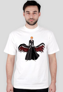 Ichigo BanKai