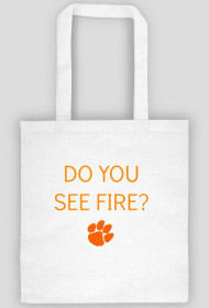 ED SHEERAN - I SEE FIRE TORBA