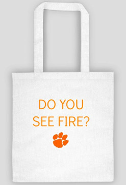 ED SHEERAN - I SEE FIRE TORBA
