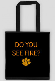 ED SHEERAN - I SEE FIRE TORBA