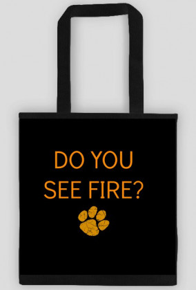 ED SHEERAN - I SEE FIRE TORBA