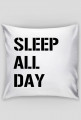 slpallday