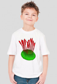 wiwaxia