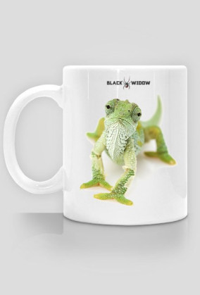 MUG 030