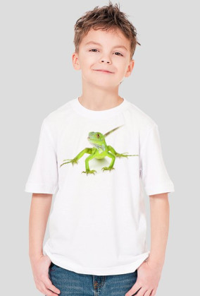 SHIRT C036