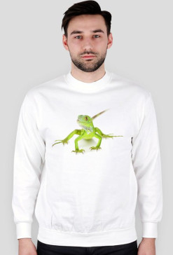 SWEATSHIRT M070