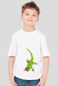 SHIRT C038