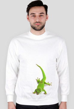 SWEATSHIRT M074