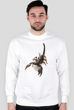 SWEATSHIRT M077
