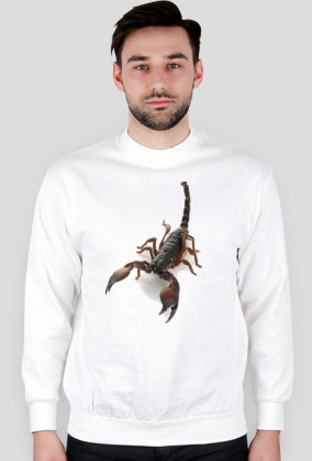 SWEATSHIRT M077