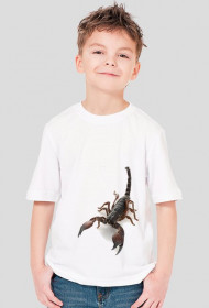 SHIRT C039
