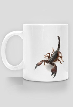 MUG 034