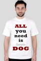 All you need...