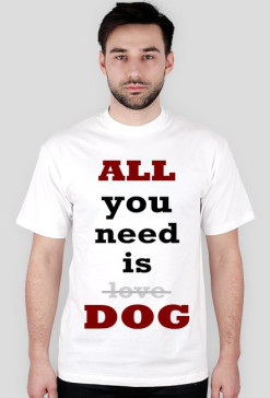 All you need...