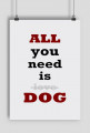 All you need...