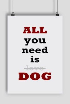 All you need...