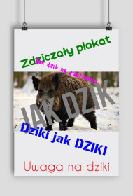 DZIKI PLAKAT