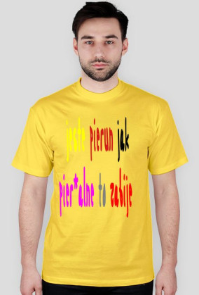T-Shirt 'pierun'