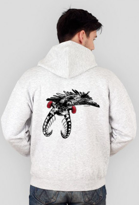 Anomalocaris