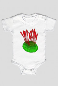 Wiwaxia