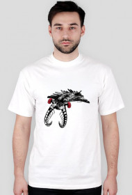 Anomalocaris