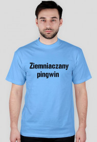 Ziemniaczany pingwin