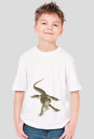 SHIRT C040
