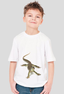 SHIRT C040