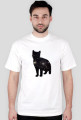 Cat one