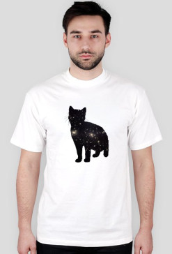 Cat one