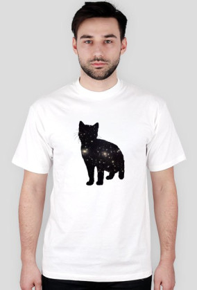 Cat one