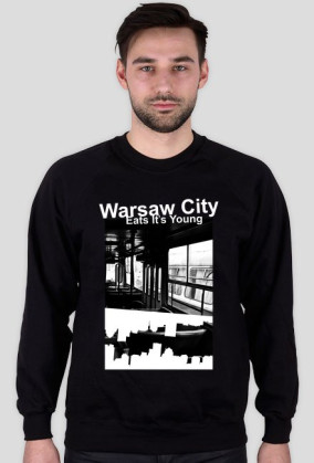 Ikarusałka Hoody