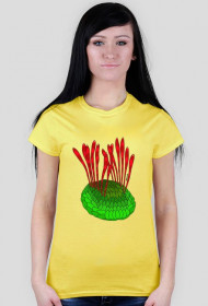 Wiwaxia