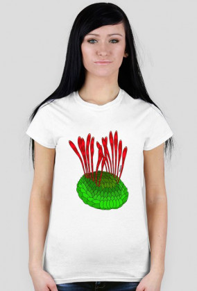 Wiwaxia