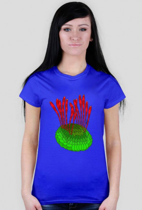 Wiwaxia