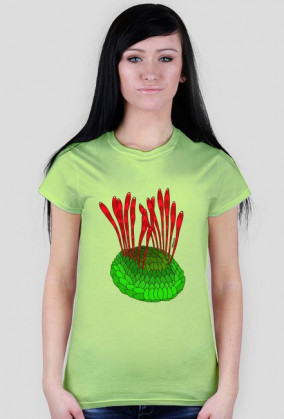 Wiwaxia