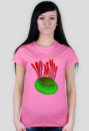 Wiwaxia