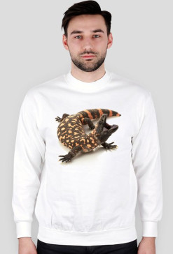 SWEATSHIRT M081