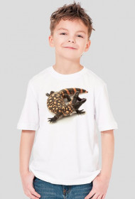 SHIRT C041