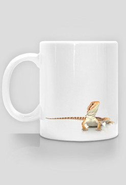 MUG 037