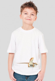 SHIRT C042