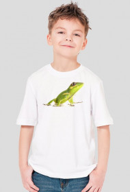 SHIRT C044